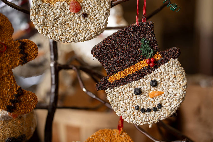 Christmas Cookie