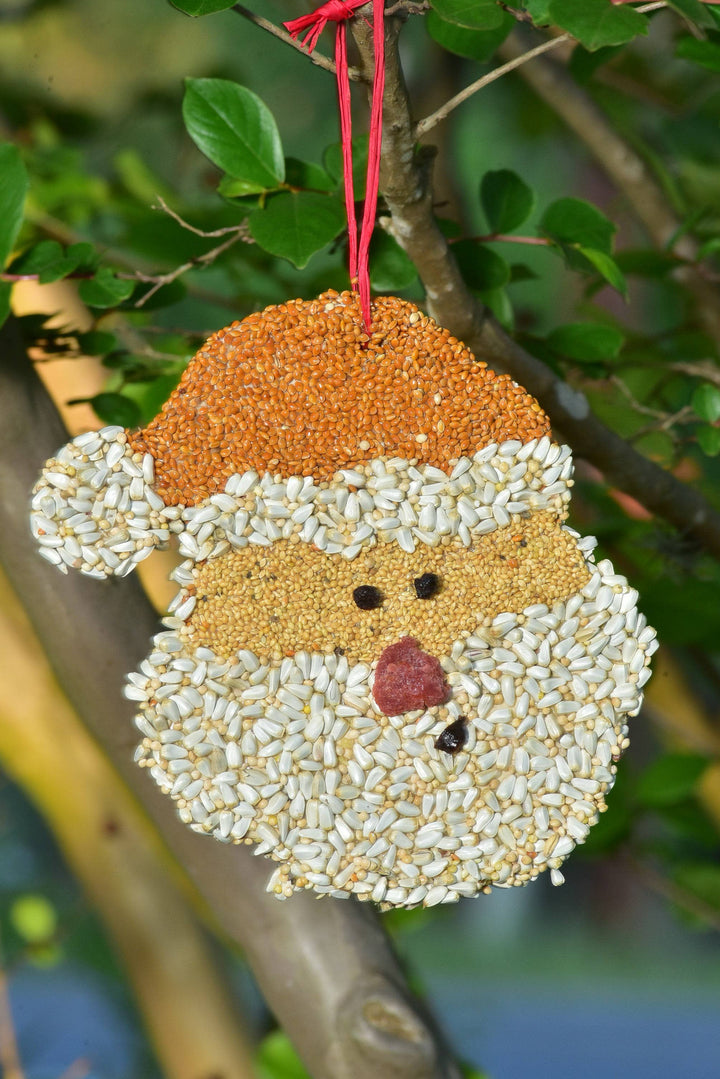 Christmas Cookie